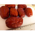 Supply Bulk Natural Organic Whole Sweet Dates Chinese Dried Red Dates